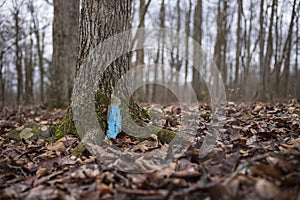 The Woodbourne Forest and Wildlife Preserve covers 648 acres just south of Montrose, Pennsylvania