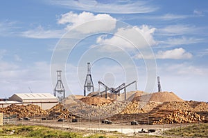 Woodchip Mill Tasmania