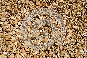 Woodchip solid fuel for Biomass plant from forest waste