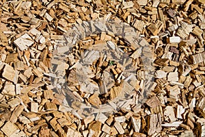 Woodchip solid fuel for Biomass plant from forest waste