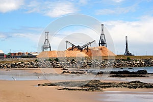 Woodchipping in Tasmania, Australia