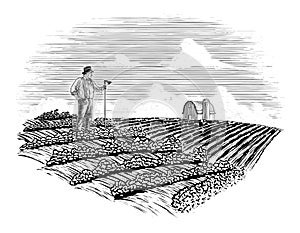 Woodcut Farmer in the Field