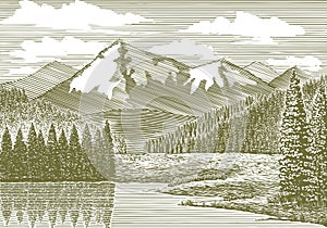 Woodcut Mountain River