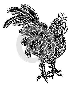 Woodcut Rooster Chicken