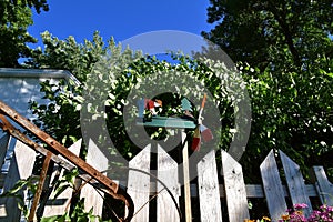 Woodcut sawmill on a yard fence