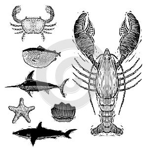 Woodcut Sea Creatures