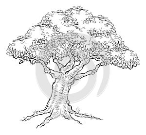 Woodcut sketch Style Tree photo