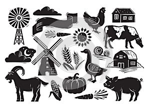 Woodcut style farm set with country elements on white background photo