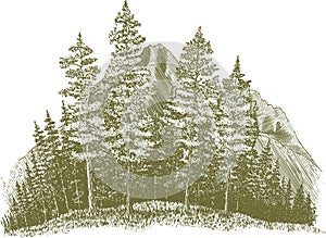 Woodcut Wilderness