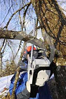 Woodcutter in action