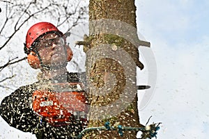 Woodcutter closeup in action in denmark photo