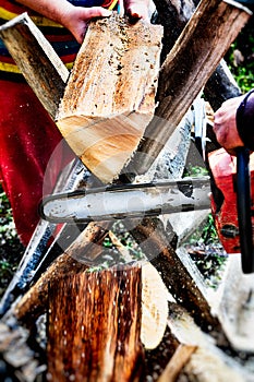 Woodcutter cutting a tree for firewood