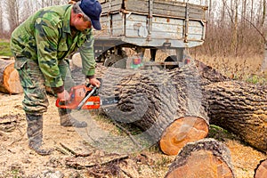 Woodcutter, logger, is cutting firewood, logs of wood, with motor chainsaw