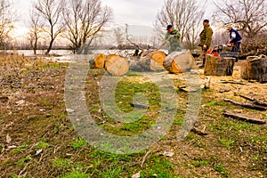 Woodcutter, logger, is cutting firewood, logs of wood, with motor chainsaw near the river