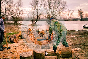 Woodcutter, logger, is cutting firewood, logs of wood, with motor chainsaw near the river