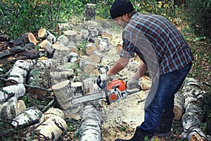 Woodcutter saws a fallen birch tree with a chainsaw in the forest. lumberjack cutting log in woods