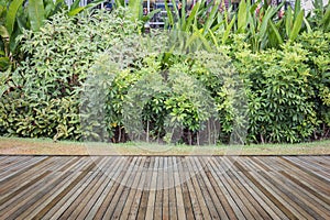 Woodecking or flooring and plant in garden decorative