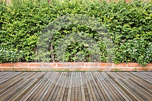 Woodecking or flooring and plant in garden decorative