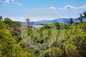 Wooded coast of Costa Smeralda in San Teodoro resort town in Sardinia, Italy at Tyrrhenian Sea shore