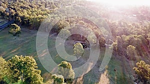 Wooded farmland in the Australian bush at sunset