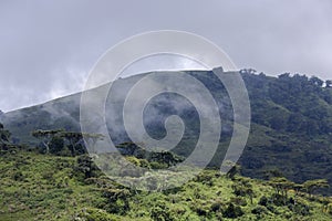 Wooded hills in the background of a stormy sky