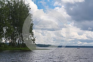 Wooded island in the lake