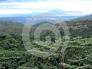 Wooded landscape in Mago National Park of Southern Ethiopia photo