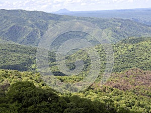 Wooded landscape in Mago National Park of Southern Ethiopia photo