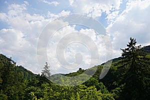 Wooded mountain and cloudy sky