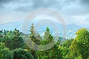 Wooded mountains photo