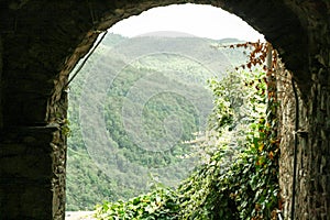 Wooded mountains.