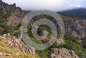 Wooded mountains of Corsica in the autumn