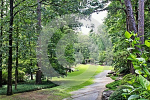 Wooded path in garden