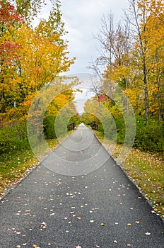 Wooded Paved Path