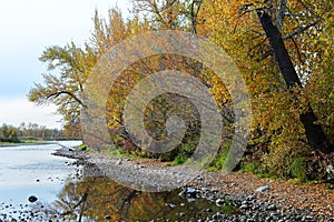 Wooded riverbank in autumn with trees in fall colors