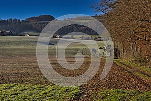 The wooded surroundings of the village of Wabern, a suburb of the city of Bern