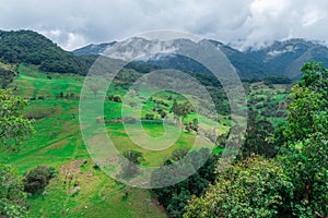 WOODED WATERLAND LANDSCAPE IN COLOMBIA WITH CATTLE GRASSLANDS IN THE LOWER PART OF THE MOUNTAIN