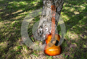 Wooden Acoustic Guitar near the tree