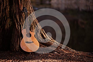 De madera guitarra acustica 