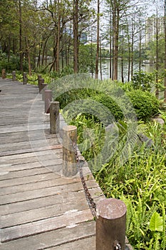 Wooden alley arranged in the Shimen Forest Park