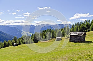 Wooden alp cabins on a meadow