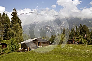 Wooden alpine house