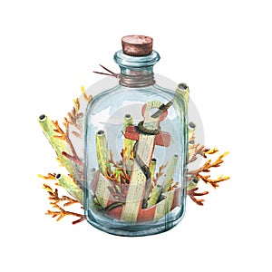 A wooden anchor in a bottle with corals. Watercolor illustration, marine and beach theme. Composition for decoration and