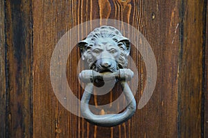 A wooden antique door and an iron lion handle