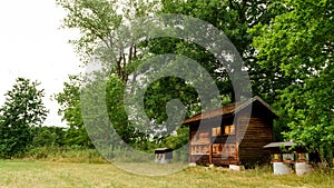 Wooden apiary with beehives