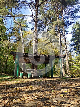 A wooden arbor in the forest. A cozy place for a family holiday in nature