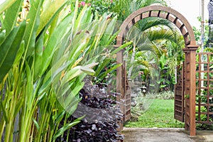 Wooden arbor with gate in garden. Wooden arched entrance to the backyard.