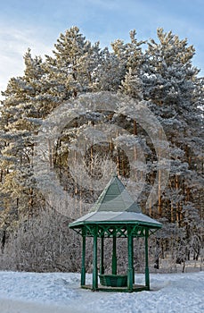 Wooden arbour in winter garden