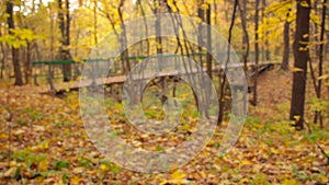 Wooden Arch Bridge