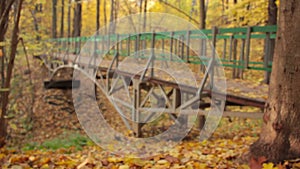 Wooden Arch Bridge, left view, forward rack focus